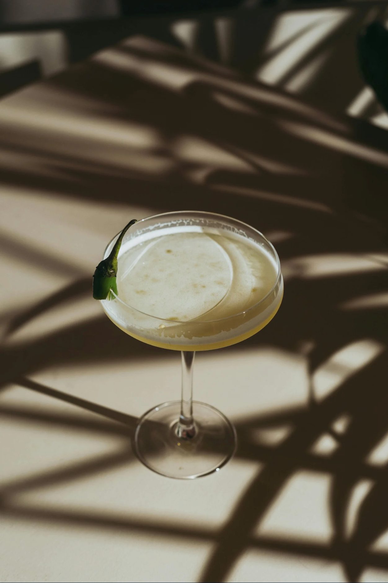 Opus Gin margarita in a coupe glass with a lime garnish and tropical palm shadows